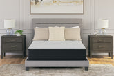Tampa Furniture Outlet Lutz - Ashley Furniture - Palisades Firm Mattresses - California King / Gray/Blue - M41551